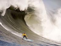 IM电竞-2026世界杯焦点战，利物浦双星闪耀，英格兰压哨绝杀哥伦比亚