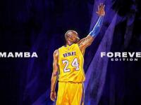 IM电竞下载-冰封战场上的火焰，阿克关键一击，智利绝境突围冰岛