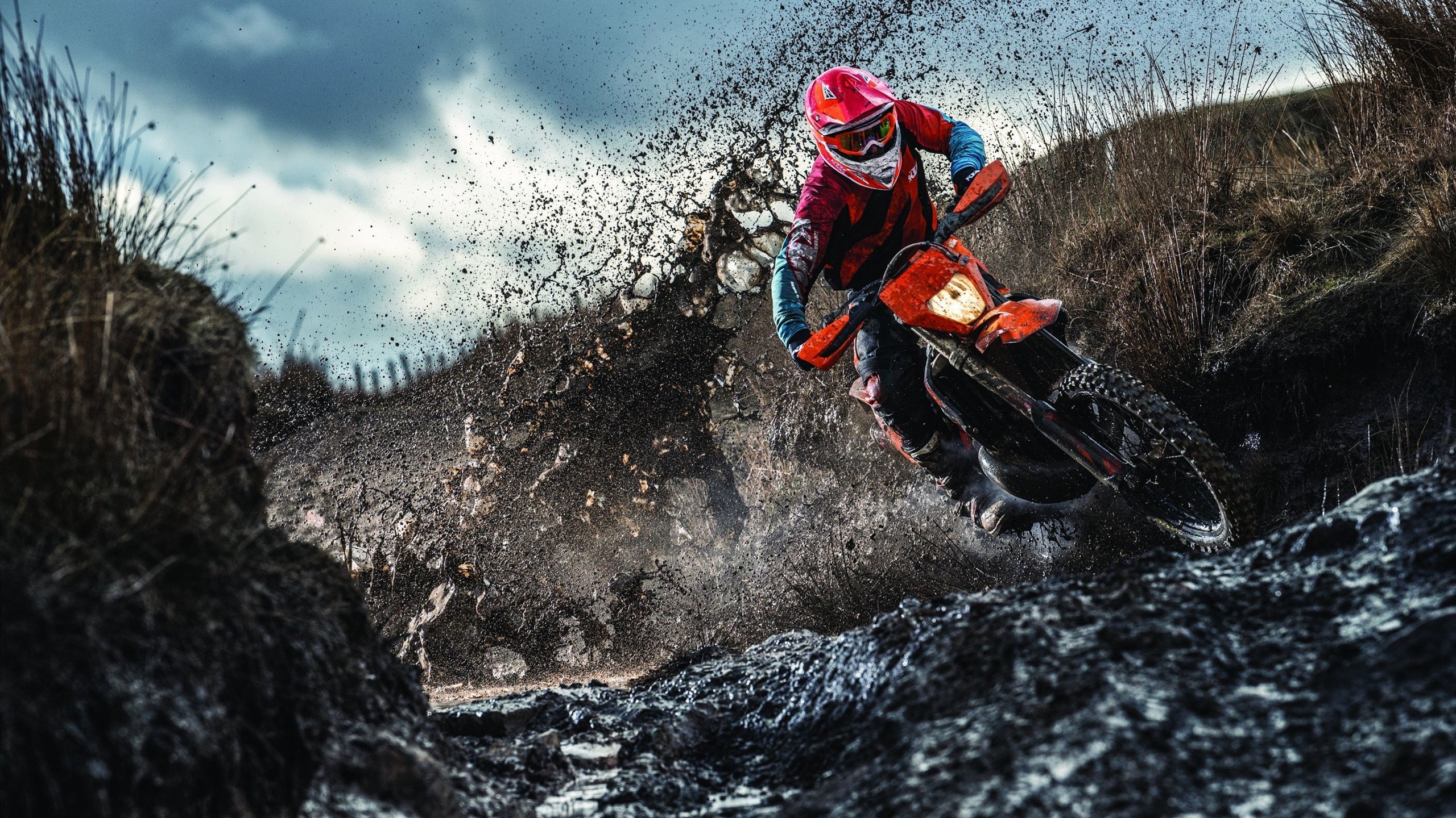 救赎与征服,穆勒的涅槃之路与雷恩的马里霸权